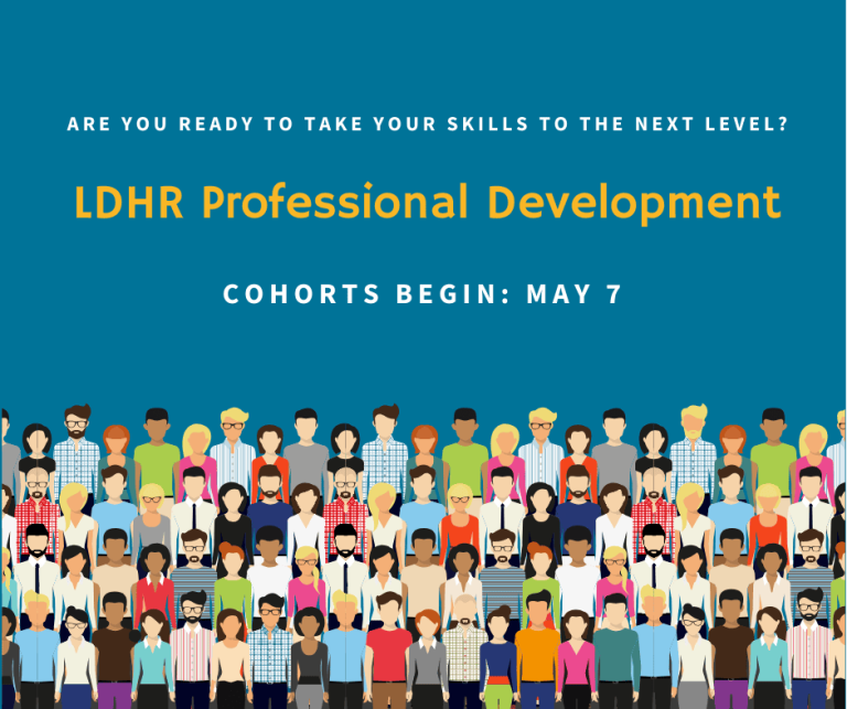 LDHR Professional Development (1)