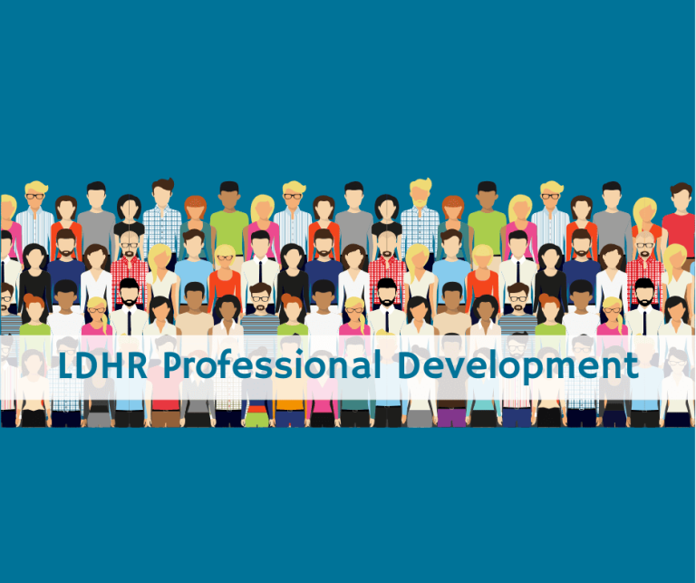 LDHR Professional Development (2)