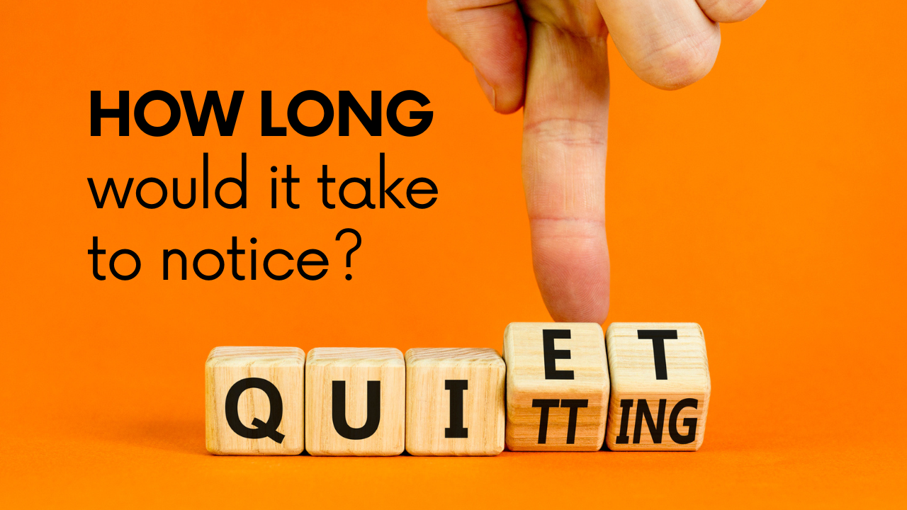 quiet quitting (blog)